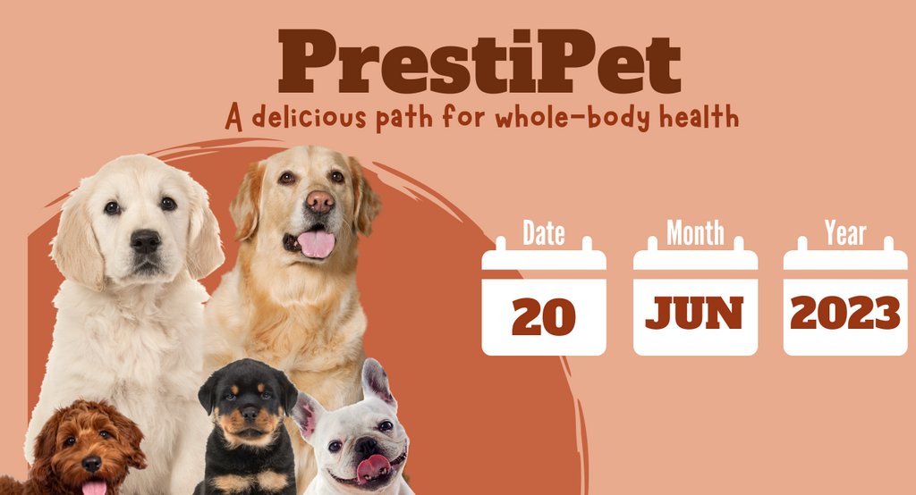 Excela Pharma Unleashes PrestiPet™: A New Line of Premium Pet Dietary Supplements